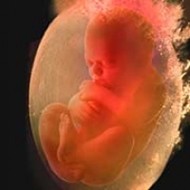 Baby floating in Amniotic Fluid