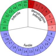 calendar method